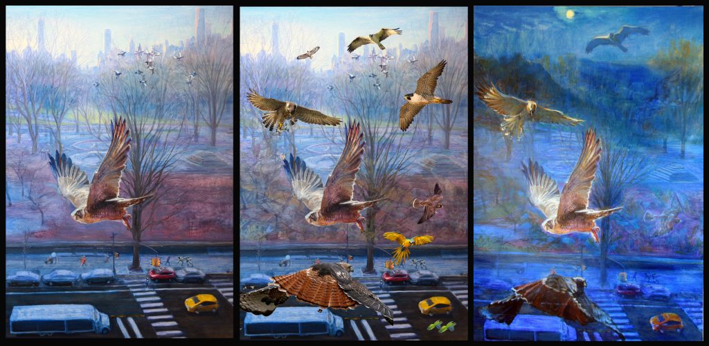 Bird Park Triptych digital print